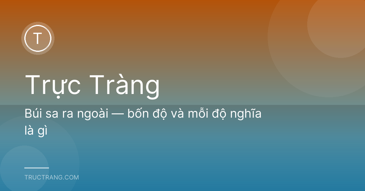 Búi sa ra ngoài — bốn độ và mỗi độ nghĩa là gì